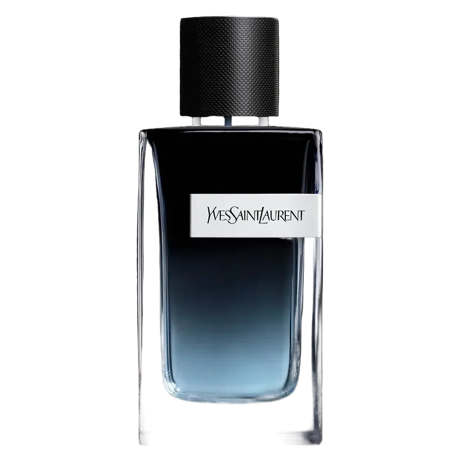 YSL Fragrance